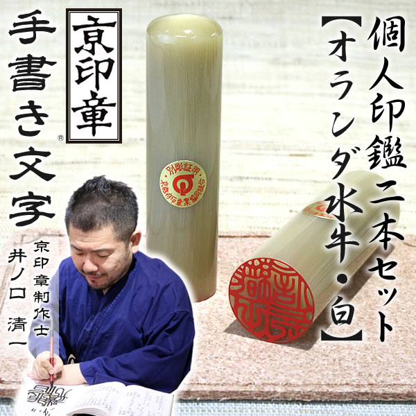 オランダ水牛（白）2本セット