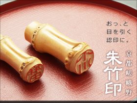朱竹印