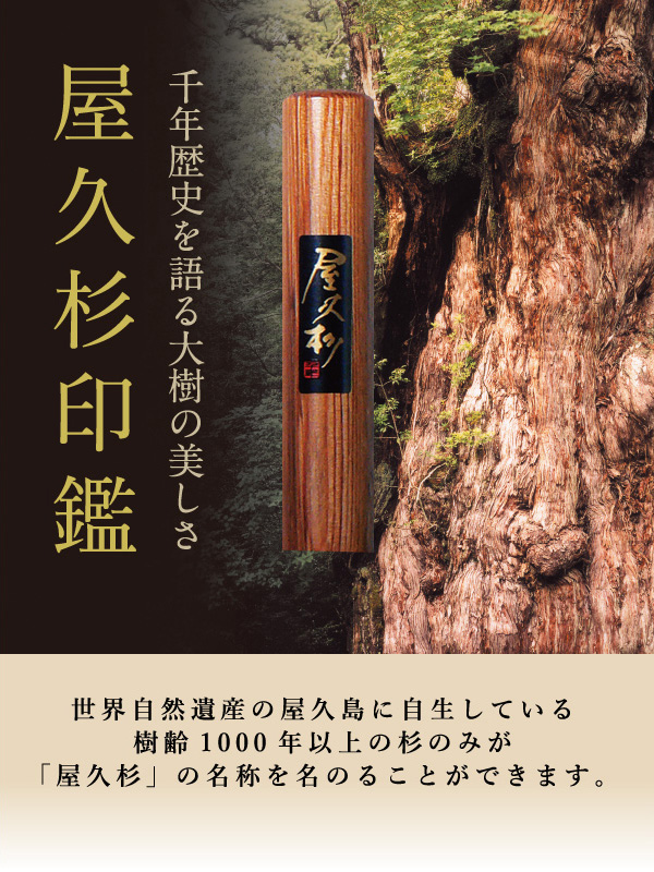 屋久杉印鑑トップ