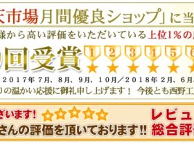 楽天月間優良ショップ4月度受賞