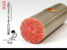 オラ白 オランダ 白 1本 単品