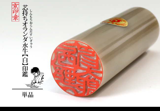 オラ白 オランダ 白 1本 単品