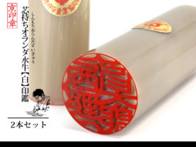 オラ白 オランダ 白 2本 セット
