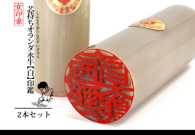 オラ白 オランダ 白 2本 セット